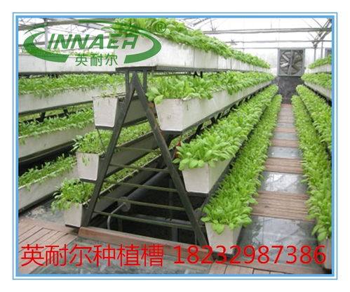 新型草莓种植槽与番茄基质槽 蔬菜专用槽的价格、图片与批发指南