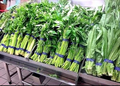 清远蔬菜种植基地 打造高品质农产品蔬菜配送新标杆