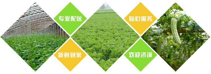 民福蔬菜配送 守护食堂餐桌安全，专业配送工厂、酒店与学校食材